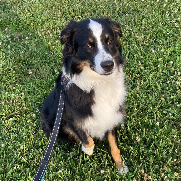 🍄Welcome to Sparrow’s Bubble..my name is Kriss! 🍄 - Picture 11 of 15